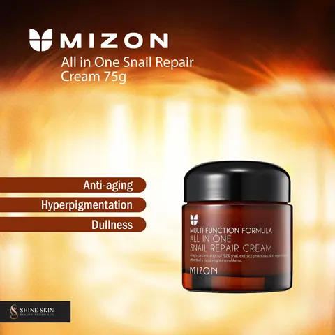 Mizon All in One Snail Repair Cream 75g